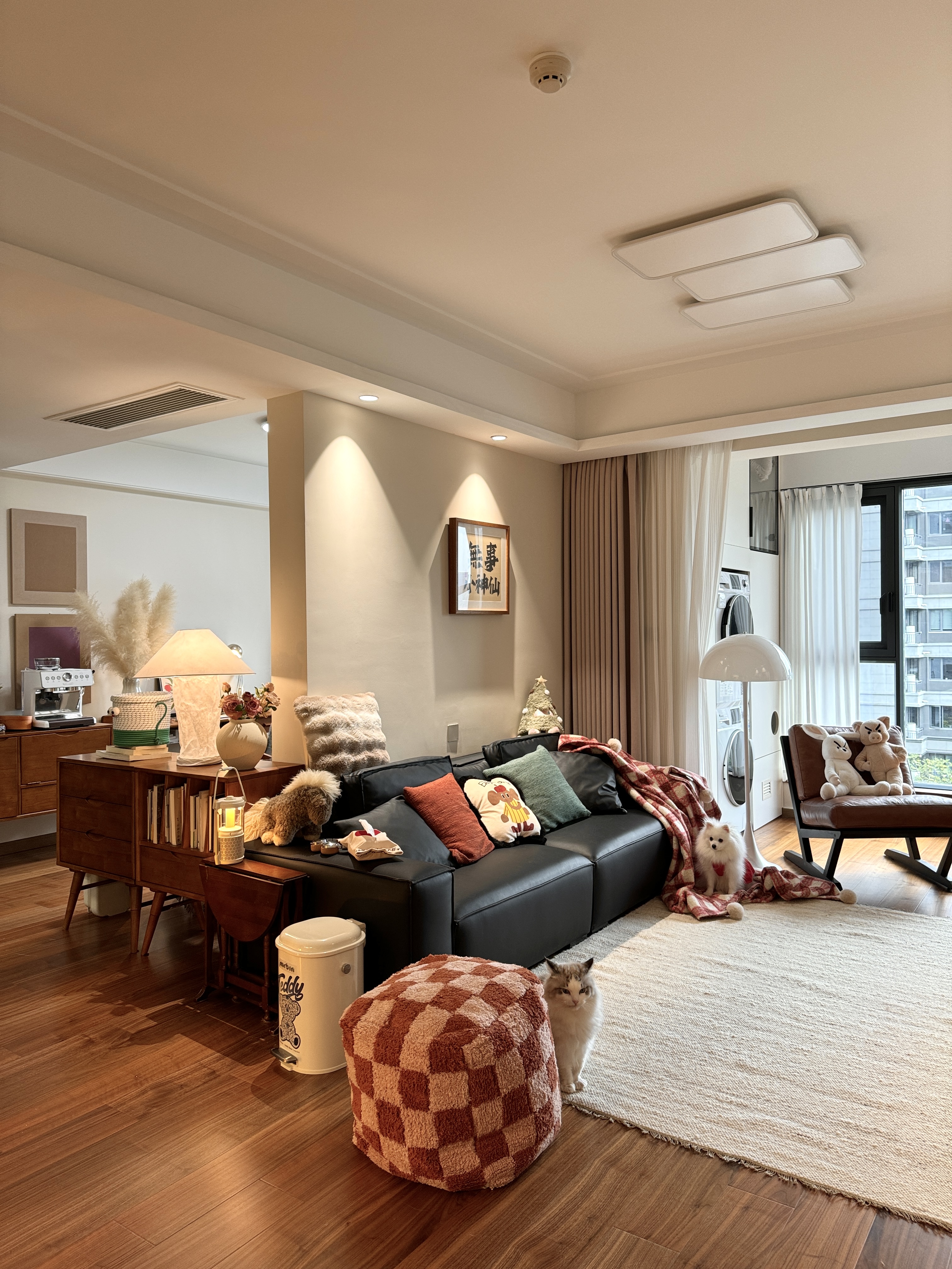 2024_11_19_15_19_IMG_0627.jpg 2024_11_19_15_19_IMG_0627.jpg